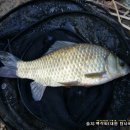 양촌소류지 이미지