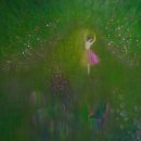 바람길목 이미지