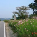 IMG National 컨트리클럽 이미지