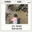형제지하수 - 화성시 | 초등학생 데리고 간 영암어촌체험마을 대부도 갯벌체험 후기(조개 많이 잡는법, 갯벌체험 준비물 꿀팁)