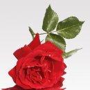 세종허브 이미지