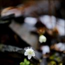 금산-08 이미지