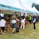 서산시, 제15회 서산6쪽마늘축제 성황리 마쳐(태안타임즈) 이미지