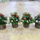 금창초등학교 병설 이미지