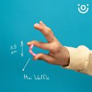 미니보물섬