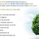 카페 블리스(CAFE BLISS)