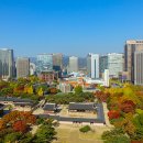시청별관 Daum카페