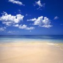 8월30일(일) 바다가 보이는 여행(시화호 조력 문화관(달전망대) - 화성 우음도 - 송산그린시티 - 안산갈대습지공원) 이미지
