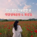 뜬늪 공중화장실 | 함안 악양생태공원 악양뚝방길 꽃구경 후기(실시간 개화현황, 주차, 주변 맛집)