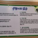 우렁이 봉쌈밥 이미지