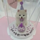 댕파티셰 이미지