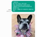 달달한댕 네이버블로그