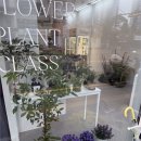 동산동-21 | 💐 삼송꽃집 플레르로베 예약 후기. 동산동·삼송에서 만나본 오더메이드 플라워샵