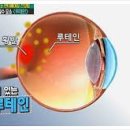 블루비타 이미지