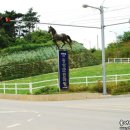 속동전망대 이미지