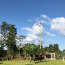 협재블리스 이미지