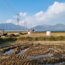 이어도공인중개사사무소 이미지