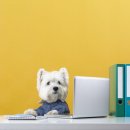 그루밍케이 이미지