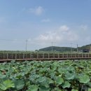 고구 애견 펜션 이미지