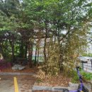 죽전1동 행정복지센터 이미지