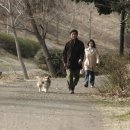 예쁜멍멍이 이미지