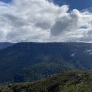 (구인완료)[IN3위 유지지향길드,블루마운틴] 7/26~길레 말고 8/9~ 길레부터 함께하실 길원 2분 구해요(28/30) 이미지