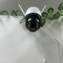 에브리캣 이미지