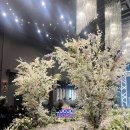 옥계2공단로6R-10 | 구미 BW 웨딩 홀투어 대관료 식대 견적 공유
