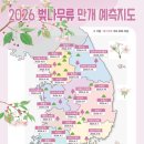 729 Daum카페