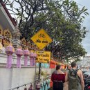 h | 태국 치앙마이 유심 이심 비교 및 추천 Dtac vs Truemove H 후기