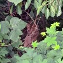 수색목장 이미지