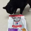 파마사이언스코리아(주) | [힐스] 사이언스 다이어트 고양이사료 어덜트 11+, 치킨레시피 1.6kg 후기