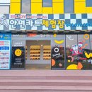충남 태안 가볼만한곳 아이랑 안면도 카트 체험관 할인 내돈내산