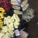 순간의기록 이미지