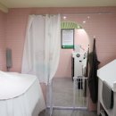 버블독스 이미지