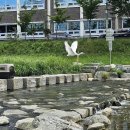 선화초교 이미지