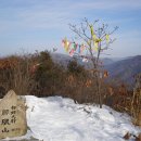 꽃피는사계 이미지