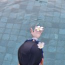 (주)피피비스튜디오스 | 피피프린세스리조트 koh phi phi hotel