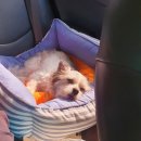 통영장사도펜션 이미지