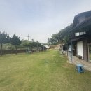 여기서 놀개 | 청주 남이면 강아지 운동장 놀개 반려견 동반 바베큐 카페 방문기 맛집 추천 리뷰 후기