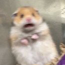 원 | W4. 본식 스냅 | 전주 에피소드원 예약 후기 (27년 하반기)