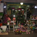 리빙플라워 이미지