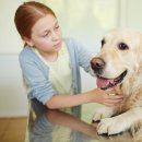 반려동물관리사자격증 이미지