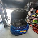 수컷웅샵 이미지