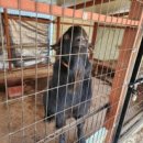 덕소자연사박물관 이미지