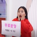 인천고양이분양 테디럽 이미지