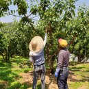 영동관광(주) 이미지