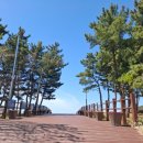 서포리해변 네이버블로그