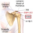 나인스짐 이미지