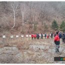 사북국유림관리소 네이버블로그